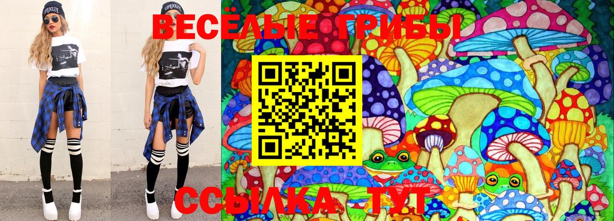 ГАШИШ Ртищево