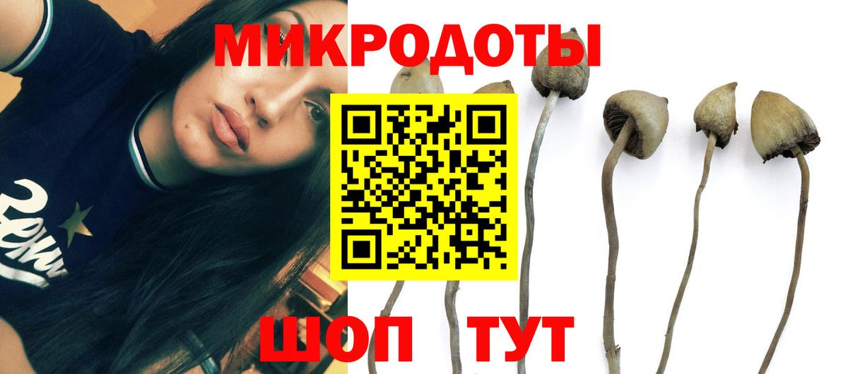 ГАШИШ  Вход с VPN  Где найти наркотики?  Ртищево  MDMA  Канабис  Экстази  МЕФ   КОКАИН 