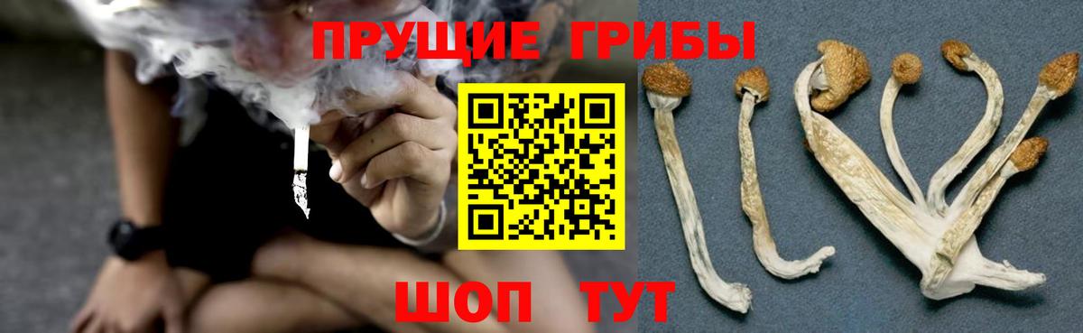 Галлюциногенные грибы ЛСД Ртищево